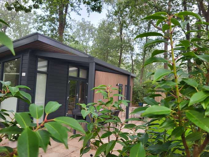 Covered terrace of Chalet Heuvelrug, surrounded by forest